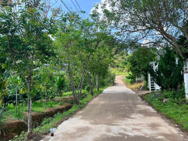 Cần bán đất khu nghỉ dưỡng gia lâm 501m², địa thế đẹp, thông 7673139