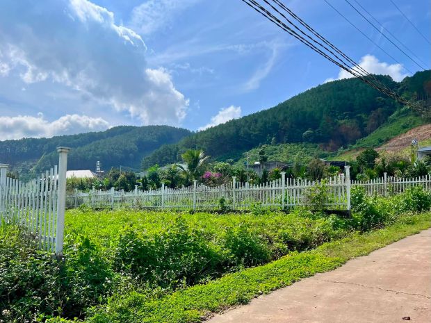 Cần bán đất khu nghỉ dưỡng gia lâm 501m², địa thế đẹp, thông 7673140