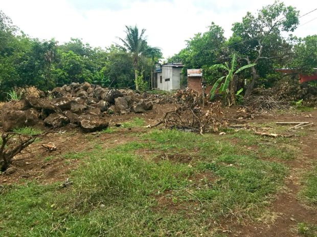 Chính chủ bán gấp đất trồng cây lâu năm 1.000m² tại định 7674056