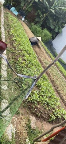 Chính chủ bán đất thôn núi 1  gần vlasta văn phú, thủy 7674930