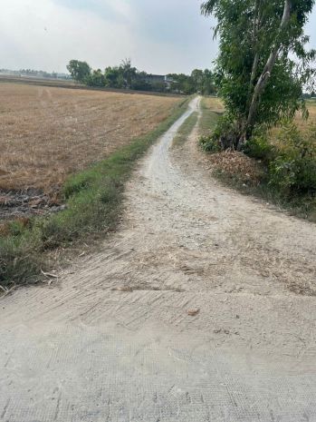Cơ hội đầu tư giá tốt - chính chủ bán gấp lô đất trồng lúa 7679038