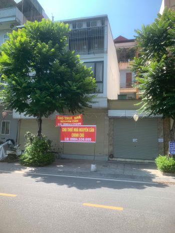 Chính chủ cho thuê nhà nguyên căn 3 tầng mặt phố lê đại 7679104