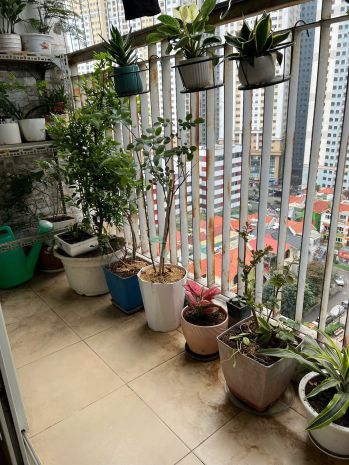 Bán căn hộ chung cư thông tấn xã việt nam  định công, full 7679518