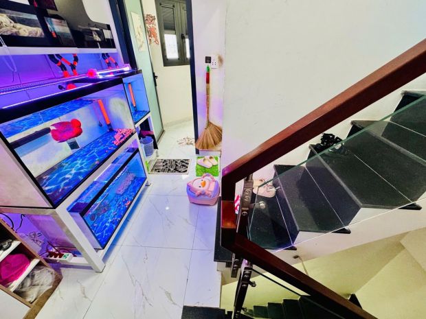 Chủ ngộp - gấp bán- bình đông - p15q8 - hxh - 4 tầng - 5pn 7682009