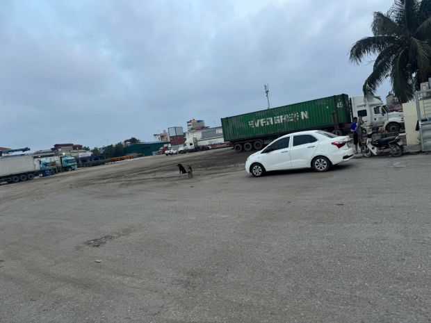 42. cho thuê bãi đã san lấp, thảm base, nền cao, không lụt 7682603