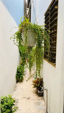 Bán nhà mới 52m² hoà hưng  không gian sáng thoáng, thiết 7682638