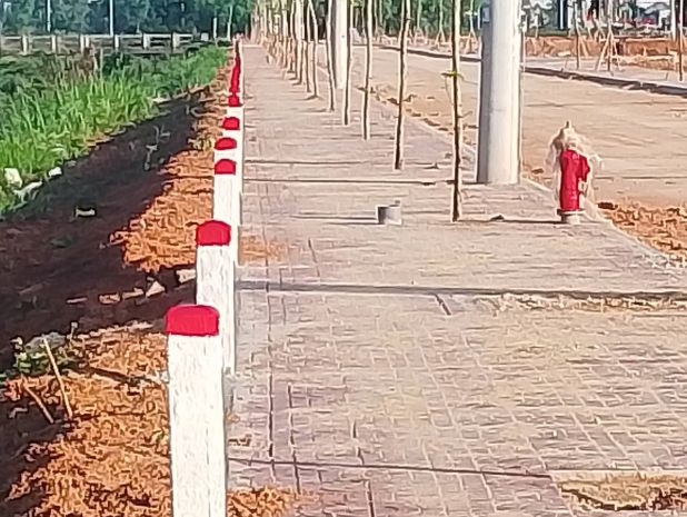 Chính chủ bán nhanh 3 lô đất liền kề tại phù mỹ, gia lai 7684828