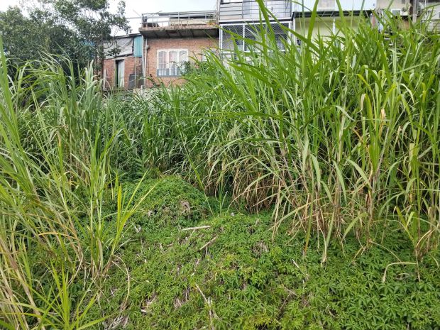Đất đẹp tô hiệu  đà lạt  view thoáng  đường ô tô tận nơi 7685459