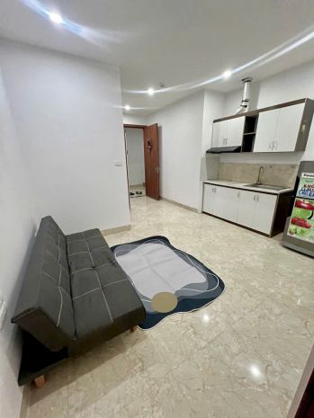 Cho thuê ccmn 1n1k   40m²  phan kế bính, ba đình, hà nội 7686847