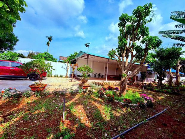 *** siêu phẩm nhà vườn mặt tiền bà rịa - xách vali vào ở 7689798