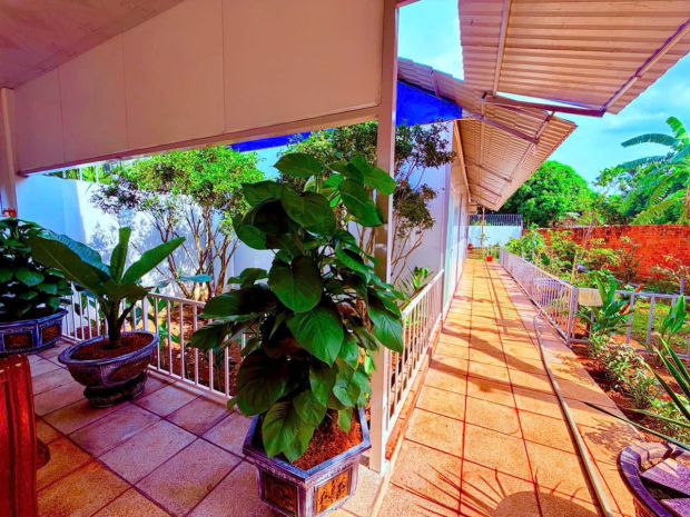 *** siêu phẩm nhà vườn mặt tiền bà rịa - xách vali vào ở 7689801