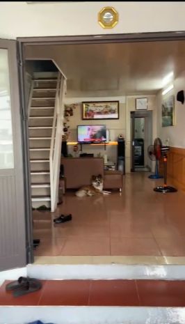 Bán nhanh nhà ngõ 22 cao xanh , tp hạ long , sổ đỏ chính chủ 7690846