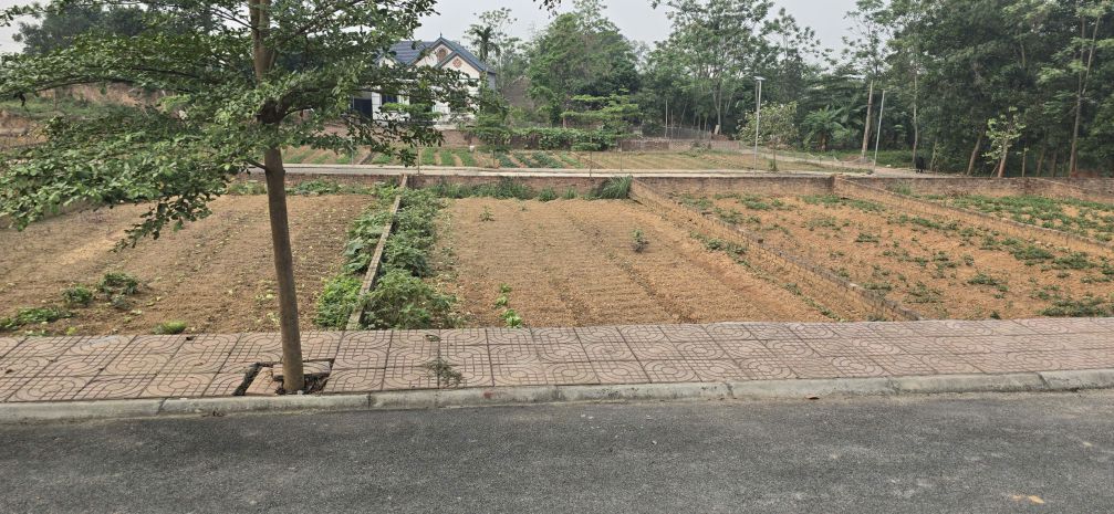 Bán đất thổ cư trung giã- hà nội, 100m, mt5.8, 740 triệu, 7692180