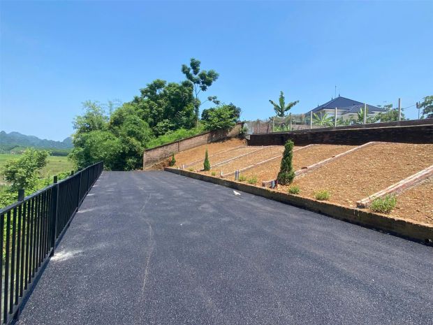 495 triệu sở hữu ngay 96m² đất tt ba hàng đồi giáp an phú 7693978