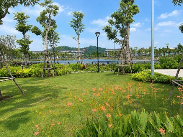 Bán đất nền view công viên heragon city thanh hóa  không 7696424