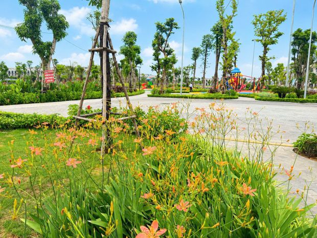 Bán đất nền sổ đỏ dự án heragon city thanh hóa  pháp lý 7696443