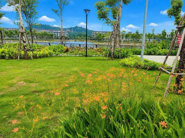 Bán đất nền heragon city tp thanh hóa  vị trí kim cương 7697184