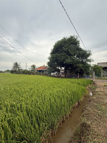 Đất chính chủ - giá tốt cần bán tại bờ mồi, xã phước tuy, 7698590