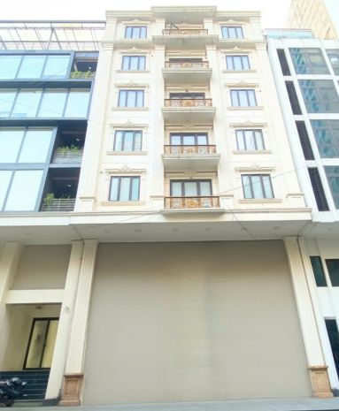 Cho thuê nhà, 111m2- 6t, nguyễn trãi, vũ tông phan, thượng 7698648