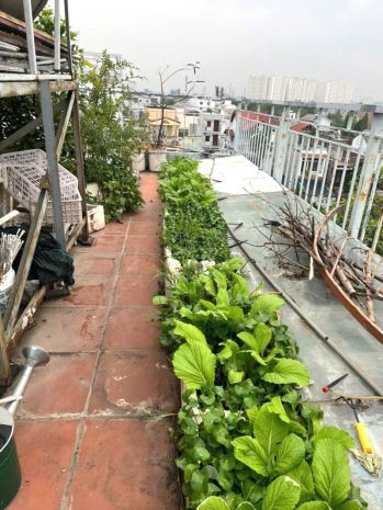 12 tỷ sở hữu tòa chdv 4 tầng gần ql13  210m², thang máy, 7698710