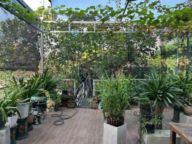 Cho thuê biệt phủ sân vườn quảng an  tây hồ  200m²  2 7701360