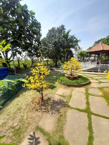 Cần bán gấp nhà vườn đã hoàn thiện bình lợi, bình chánh. 7702297