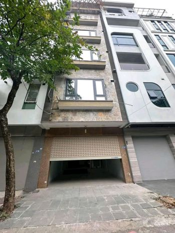 Cho thuê nhà, 101m2_ 5t hoàng cầu, la thành, đặng tiến 7702995