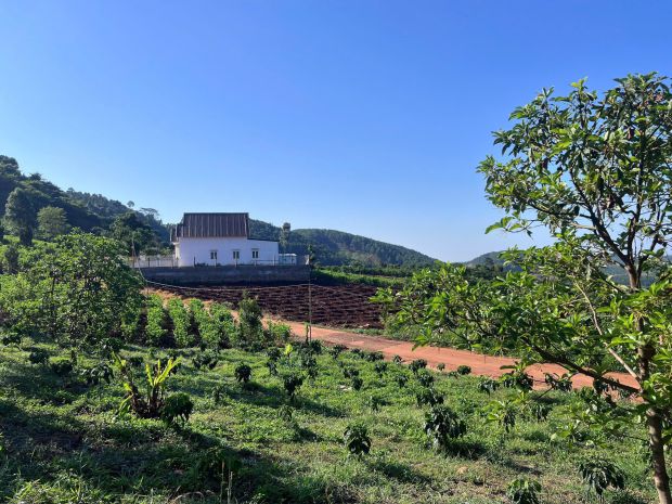 Đất nghỉ dưỡng - view cực chill - hẻm ba đình, nam ban, lâm 7704181