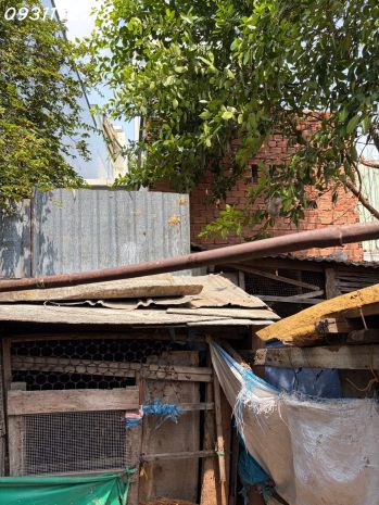 Bán nhà mặt tiền bông sao 160m2 xây dựng cao tầng chỉ 12 tỷ 7706400