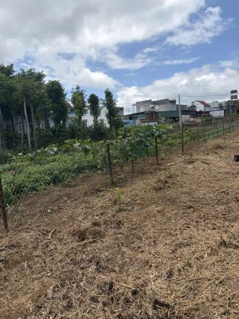Bán đất mặt tiền phi tô, lâm hà , lâm đồng  709m² - 300m² 7706754