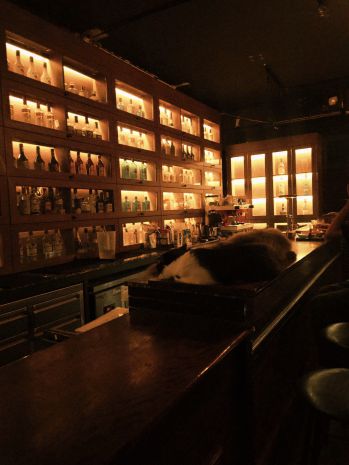 Sang nhượng pub rooftop  trung tâm đống đa, hà nội 7708362