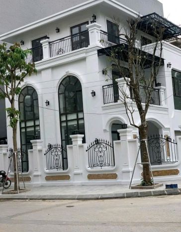 Cho thuê nhà, nguyễn trãi, vũ tông phan, thượng đình, 7708364