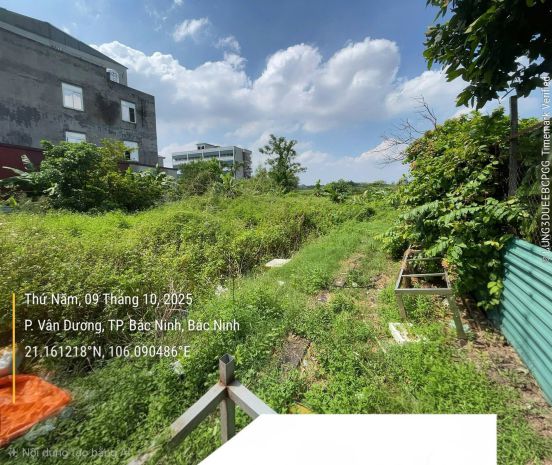 Bán đất đường tam giang, tp bắc ninh, 46,4m2, nhỉnh 1 tỷ, 7710624