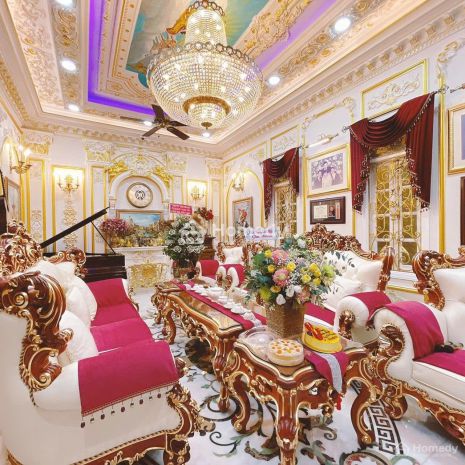 Biệt thự mini ngay hồ con rùa - phố phạm ngọc thạch - dt: 7710833