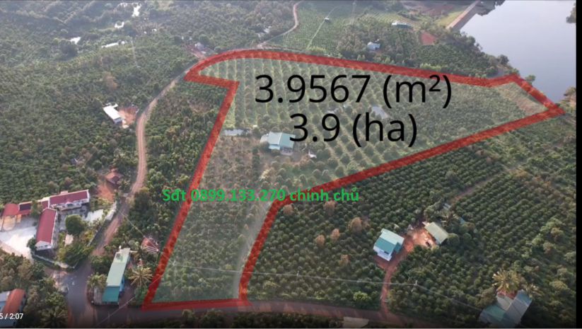 Chính chủ cần bán vườn sầu riêng gần 4 mẫu  đã có sổ hồng 7711442