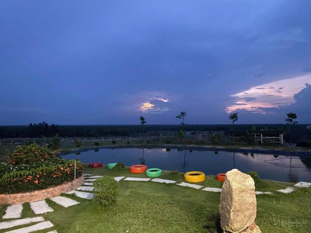 Cần bán 40 ha đất quy hoạch đất ở nông thôn  ven hồ dầu 7713904