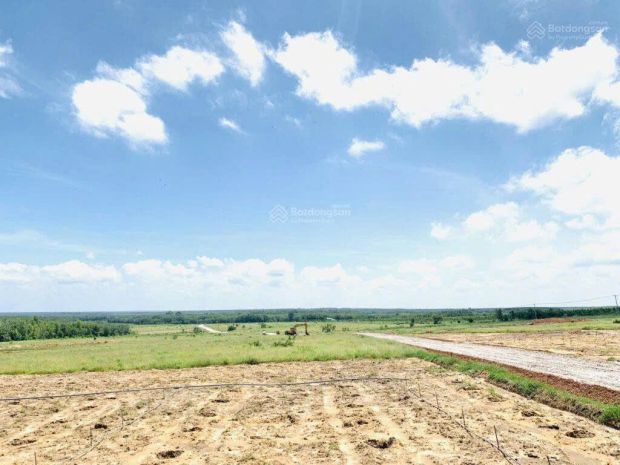 Cần bán 40 ha đất quy hoạch đất ở nông thôn  ven hồ dầu 7713905
