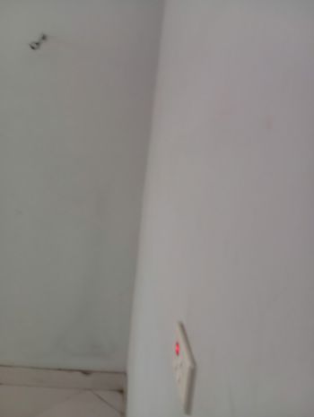 Giá tốt - cho thuê phòng trọ và căn hộ khép kín tại mai 7713930