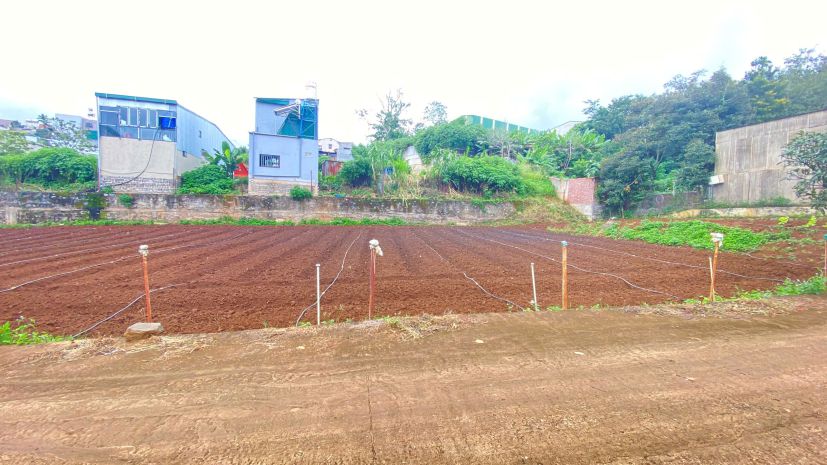 Đất nền ngay trung tâm đức trọng, lâm đồng chỉ 1,1 tỷ 7714590