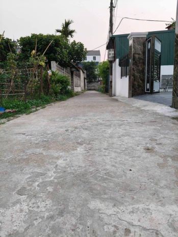 Quang tiến, sóc sơn, thay mặt chủ sổ, e chào bán : 100m2, 7715354