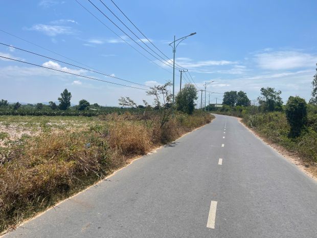 Bán 50m x 70m đất mặt tiền mai thúc loan - tân hải - lagi 7717402