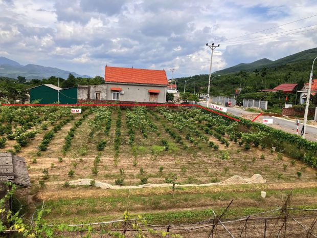 Chính chủ cần bán đất full thổ cư phường bình khê, đông 7718806