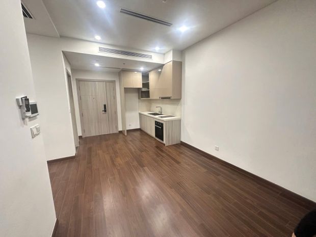 Chính chủ cho thuê căn 1n+ masteri a, phường tây mỗ, nam từ 7720012