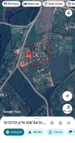 Bán vườn trái cây hơn 10.000m2 hành nhân nghĩa hành quảng 7720935