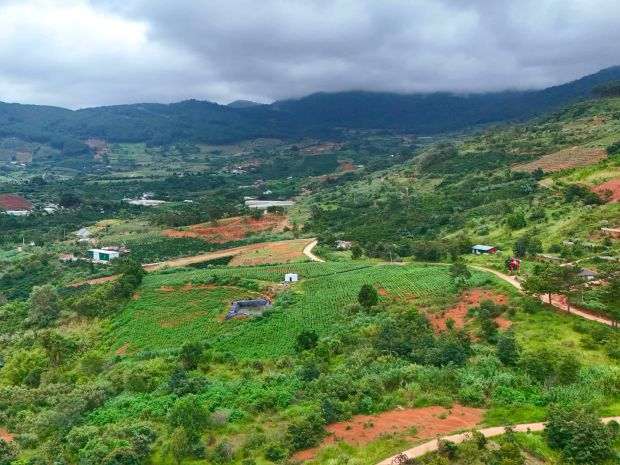 Cần bán đất nam ban 5.539m², 200m² thổ cư, view toàn cảnh 7722410