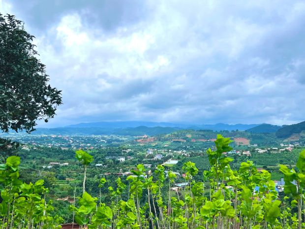 Cần bán đất nam ban 5.539m², 200m² thổ cư, view toàn cảnh 7722411