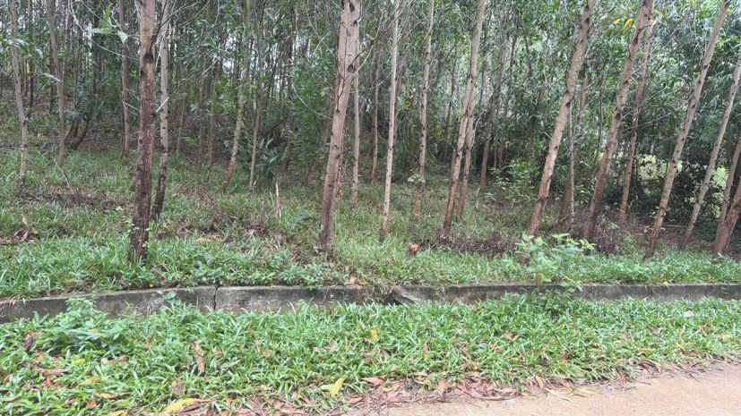 Đầu tư sinh lời - chính chủ cần bán 2 lô liền kề khu vực 7723609