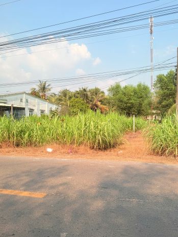 Cần bán đất tỉnh lộ 796 xã ninh điền ,huyện châu thành 7724393