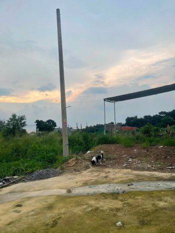 Đất đẹp  giá tốt  chính chủ cần bán lô đất tại hưng long, 7725565