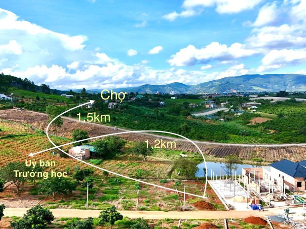 Cần bán đất 324m² có 256m² thổ cư, mặt tiền 12m, sẵn hạ tầng 7726851